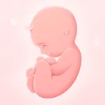 My Pregnancy゜ icon