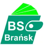 BSBranskMobileNet icon