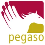 Fondo Pegaso icon