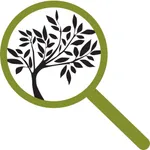 Olive Observer icon