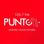 Punto 11 icon