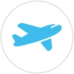 Aircraft Inspection icon