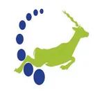 Chigari icon