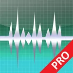 WavePad Professionale 2022 icon