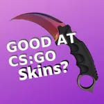 CS:GO Quiz icon