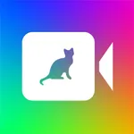 Video FX Art icon