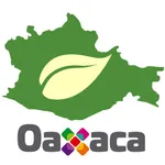 Mapa Oaxaca icon