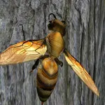 Bee Nest Simulator Full icon