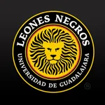 Leones Negros Oficial icon