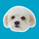 Precious Puppies icon