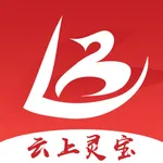 云上灵宝 icon