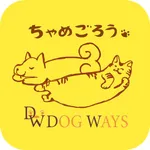 ちゃめごろうDOGWAYS icon