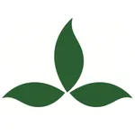 Green Smart icon