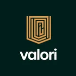 Valori icon