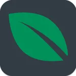 leafsystems icon