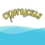 Судогодская вода icon