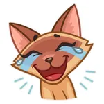 Kitty Cat Emoji Funny Stickers icon