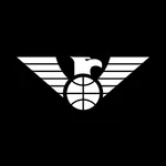 Newcastle Eagles icon