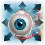 The Extraocular Muscles icon