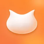 飞猫盘 icon