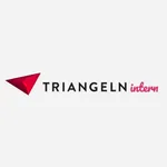 Triangeln Intern 2.0 icon