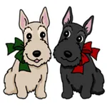 Cute Scottish Terrier Dog Icon icon