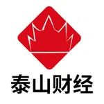 泰山财经 icon