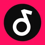 Pocket Music - Music Player icon