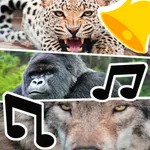 Animal Ringtones & Sounds icon