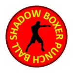 Shadow Boxer Punch Ball icon