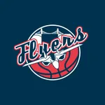 Bristol Flyers icon