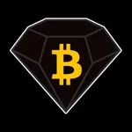 Bitcoin cryptocurrency course icon