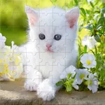 Animal Puzzle Games: Jigsaw icon