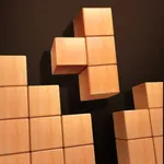 Wood Puzzle 3D icon