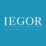 IEGOR icon