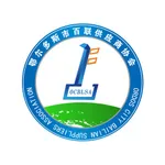 百联供应链 icon