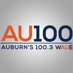 AU100 [WAUE] icon