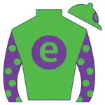 e5 Racing icon