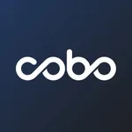 Cobo Vault icon