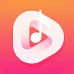 add music to video - no crop icon