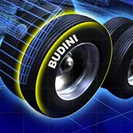 Budini Fleet icon