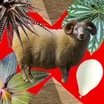 EscapeGame DreamlessRoom icon