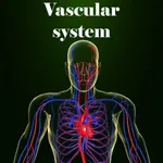 Vascular system icon