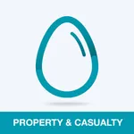 Property And Casualty Test icon