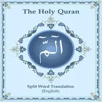 Holy Quran Split Word English icon