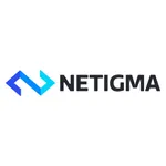 Netigma icon