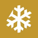 雪花调研 icon