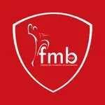 Federación Madrileña Balonmano icon