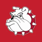 Colmesneil ISD, TX icon