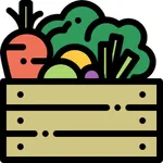 Healthy Recipe icon